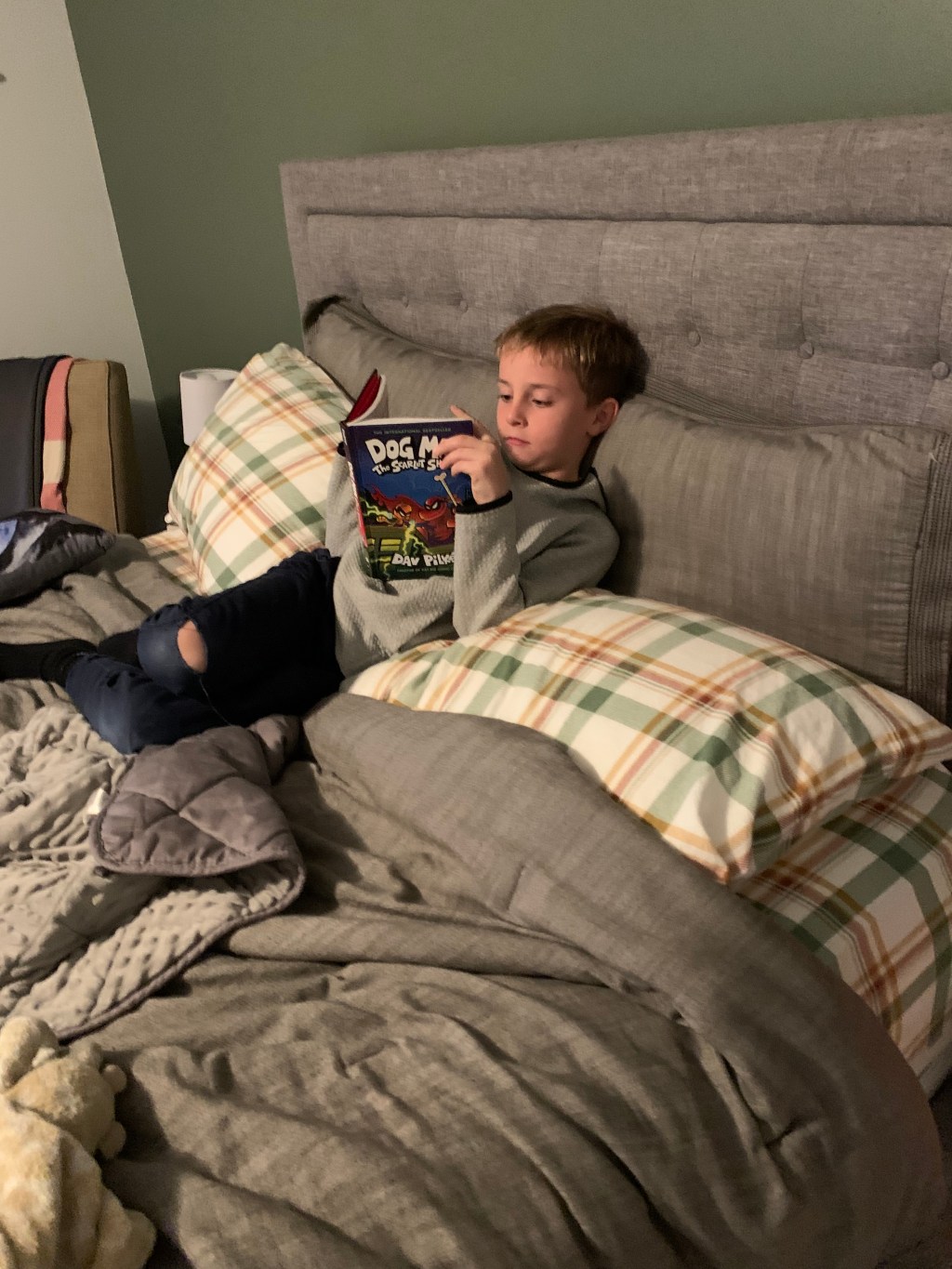 On Reagan the&nbsp;Reader