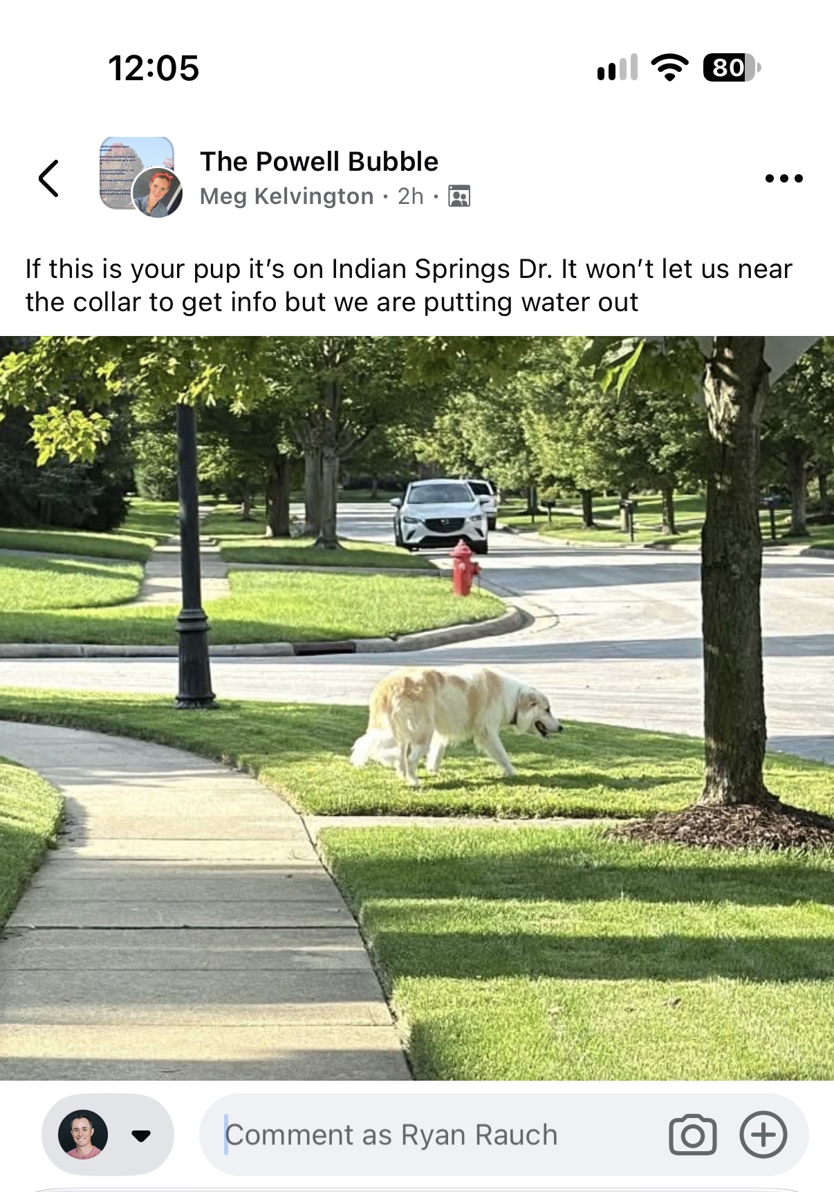 On Your Dog’s Moody Teenager Phase